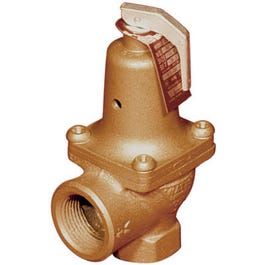 ASME Water-Pressure Relief Valve, 30-Lb., 0.75-In.
